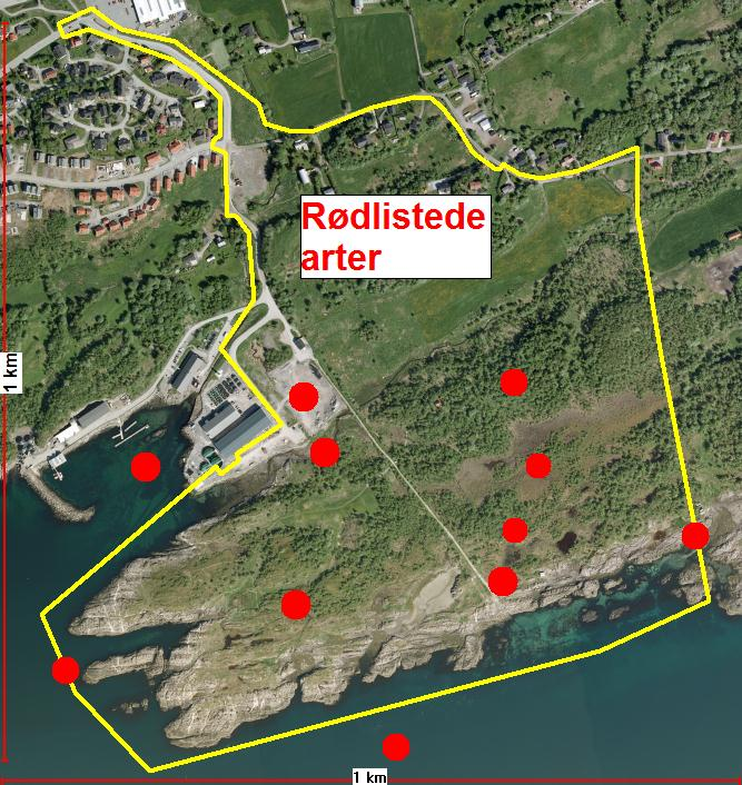 Konsekvensutredningen skal utarbeides i tråd med det fastsatte planprogrammet og skal ta opp temaene biologisk mangfold samt friluftsliv og nærmiljø.