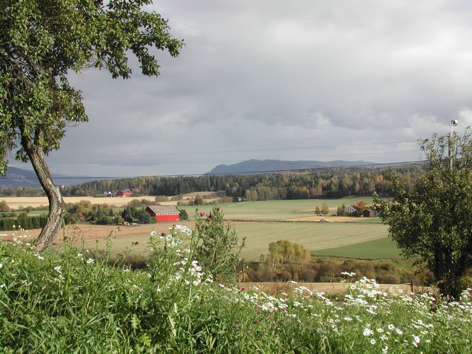 Virkemidler Planlegging Plan- og bygningsloven