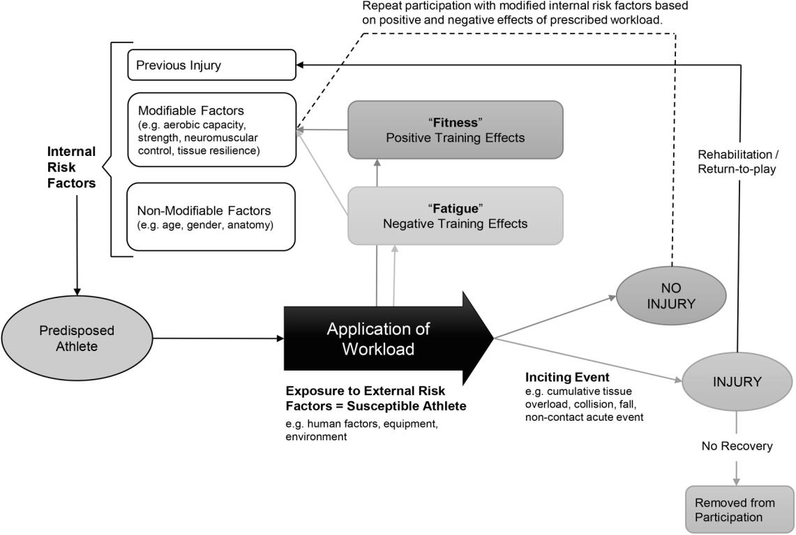 Figur 2.3: The workload- injury aetiology model (Windt & Gabbett, 2016). 2.4 Ulike skade- og sykdomsdefinisjoner ulike svar?