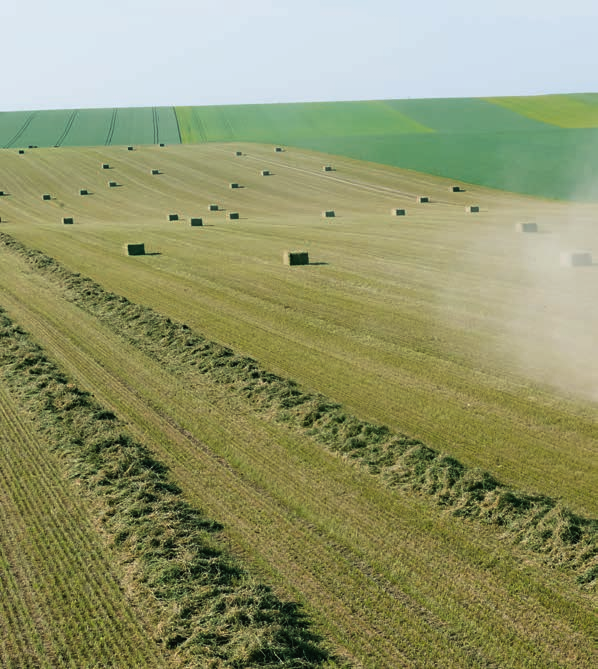 Avansert teknikk. Stor kapasitet. Den som kjøper en QUADRANT fra CLAAS har mange valgmuligheter når det gjelder pressing.