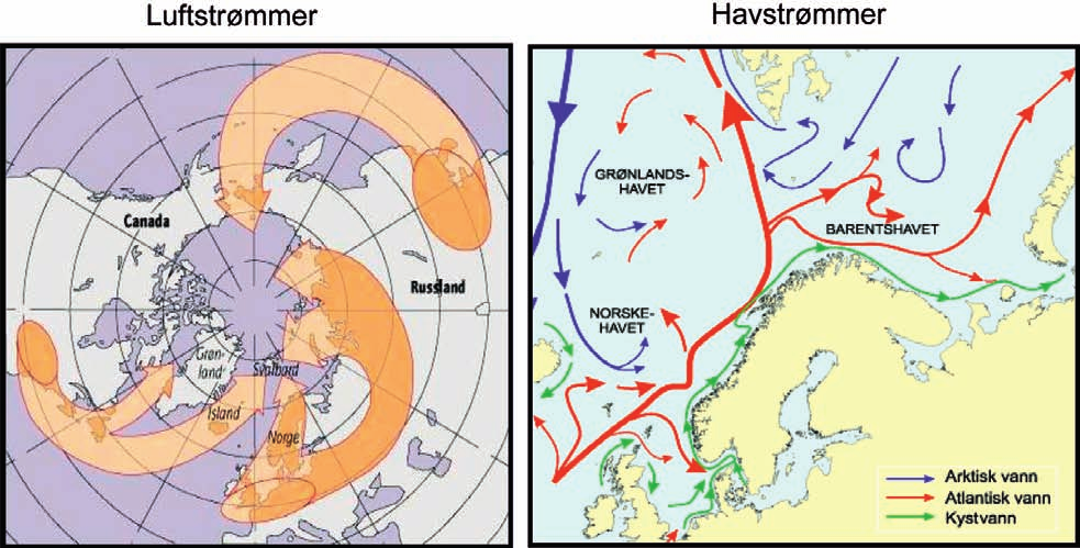 28 29 St.meld. nr. 9 55 Miljøgifter er skadelige kjemiske forbindelser som er lite nedbrytbare, hoper seg opp i naturen og medfører en gradvis forgiftning av jord, luft, vann, mennesker og dyr.