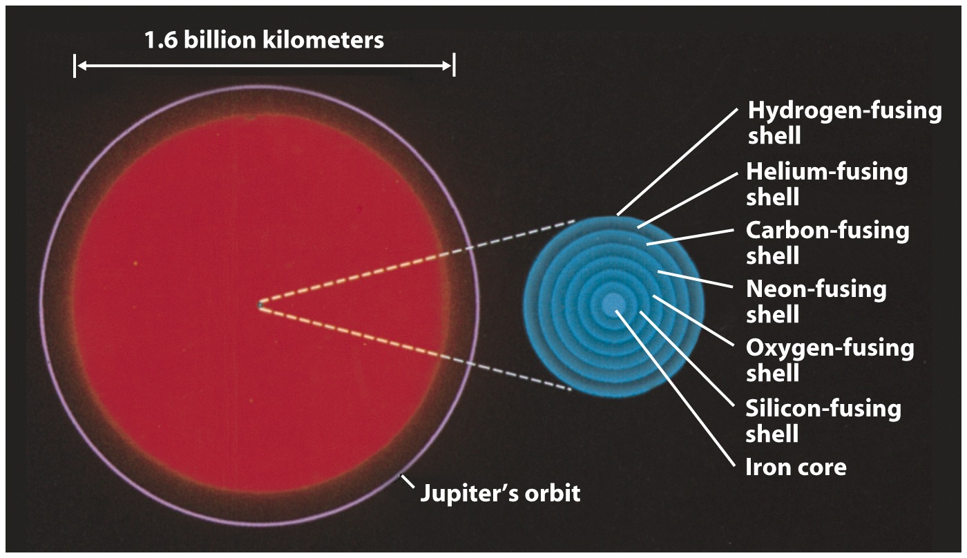 Massive stjerner blir supernovaer og ender som nøytronstjerner og sorte hull.