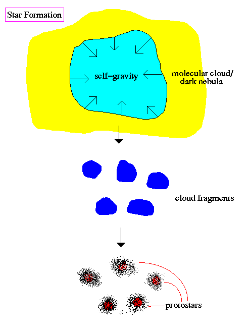 Sky med 10 4 solmasser Fragmenterer i klumper på 10-50 solmasser og størrelse ~ 0.1 pc. Klumpene blir til protostjerner i løpet av 10 millioner år (for sollignende stjerner.