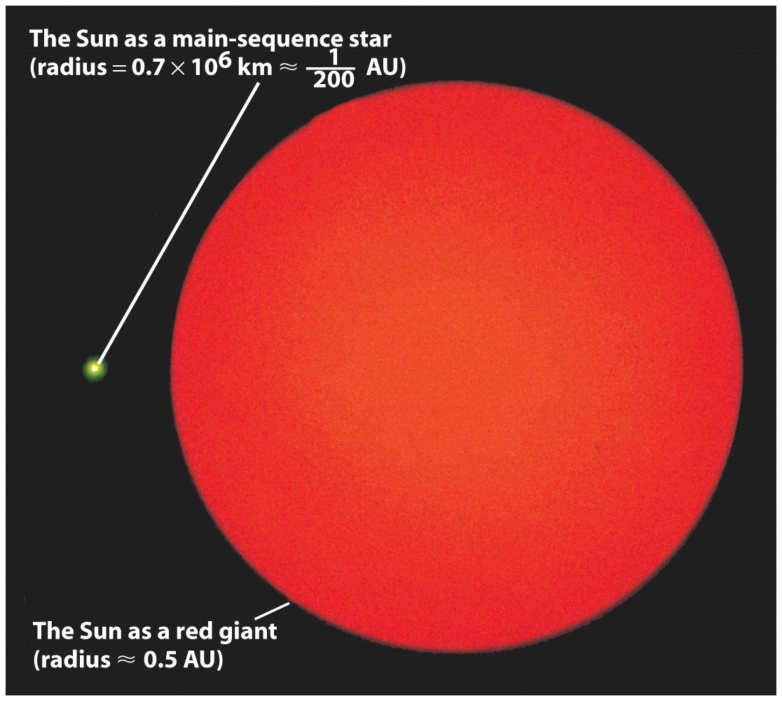 22 Heliumfusjon Kjernen fortseger å varmes opp inn<l den når 120 x 10 6 K. Da begynner heliumfusjon i en kjerne som har en radius som bare er 0.1% av stjernens radius.