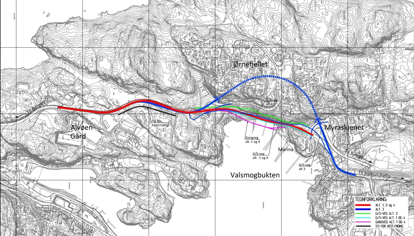 Planområdet og alternativer 4 PLANOMRÅDET OG ALTERNATIVER 4.1 Avgrensing av planområdet Denne utredningen er knyttet til utarbeidet planprogram for deler av Håkonshellaveien, Fv.