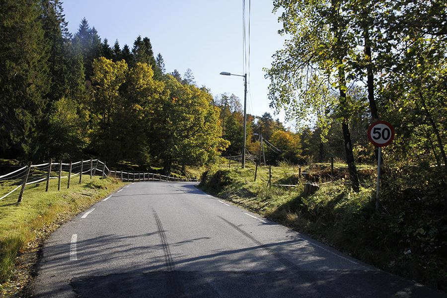 Naturstatus og naturverdier Når det gjelder zoologiske bioelementer, dyr og fugler, er det ikke gjennomført kartlegging av hekkende fuglearter pga tidspunkt for gjennomføring av prosjektet (høst).