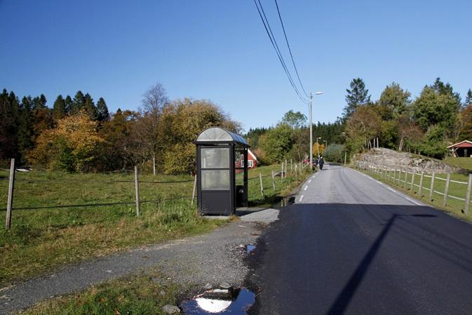 Området kan ha gode kvaliteter for flere arter flaggermus, en gruppe som har flere rødlistede arter (jfr. Kålås mfl. 2010).