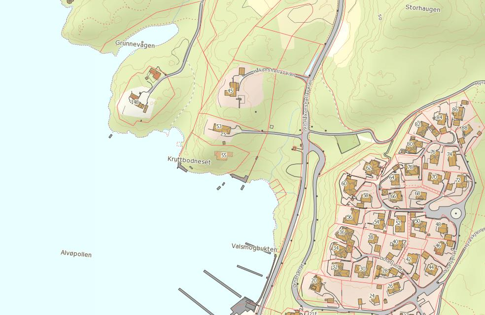 Naturstatus og naturverdier 5.2.2 Sone 2 Løvskog m/granfelt I sone 2 (Fig. 19) står gjennomgående variert løvskog tett innpå veien, jfr. foto fra området (Fig. 20 24).