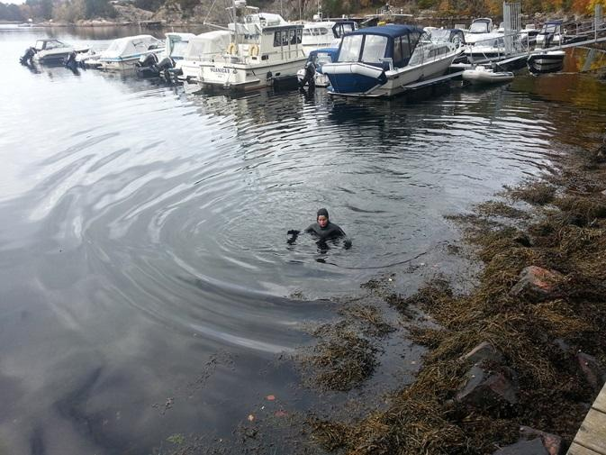 Faunaen var lik 4B i littoralsonen, men det ble overraskende også observert en hummer Homarus gamarus i en hulelignende struktur i fyllmassen.