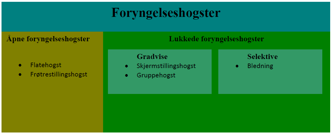 Et forsøk på system (eller mer forvirring?