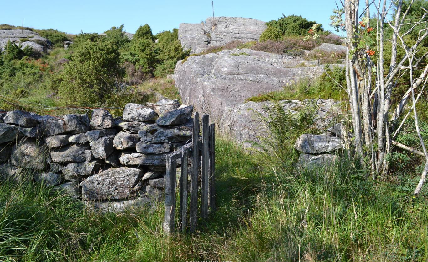 N02 Foldnes-vest Større utmarksområde like vest for tettbygd område i og kring det som vert kalla Gamle Foldnes. For det meste ope lynghei, vatn, og noko beitemark og lauvskog mot aust.