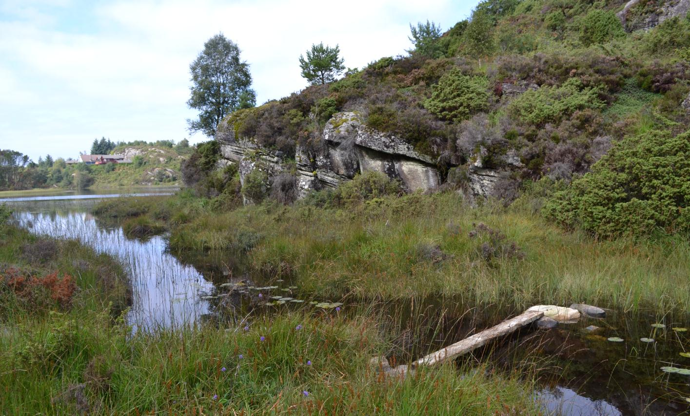 N03 Gulfjellet Vestre del av Foldnesmarka og nær stor befolkningskonsentrasjon. Ope lynghei og barskog med fleire mindre vatn og høgdedrag. Våte parti.