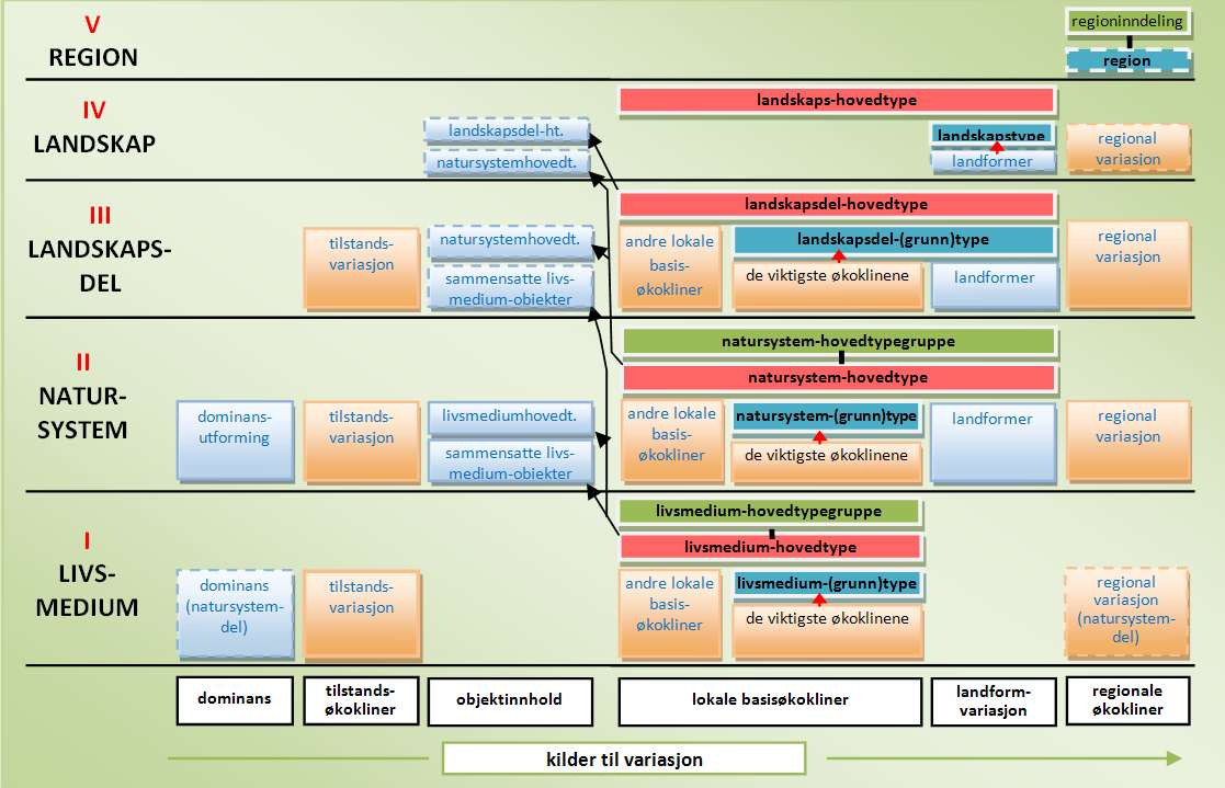 NiN naturvariasjon satt i system Første 'dimensjon': De fem naturmangfoldnivåene (naturtypenivåene), som også gjør det mulig å beskrive naturvariasjon på ulike romlige