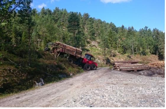 Strategiske konklusjonar Transportavstand Tradisjonelle råstoff ny teknologi Nye marked Skala