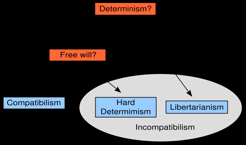 «The free will taxonomy» (fra wikipedia) (I tillegg finnes såkalt «hard / pessimistic