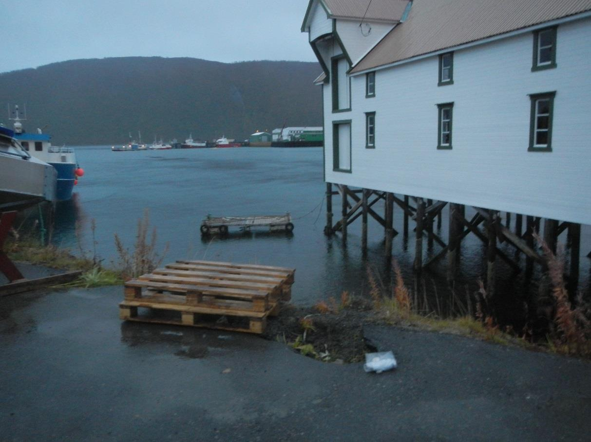 Figur 1.2 Tradisjonell stolpebrygge på peler i sjø ved Botnhamn Sveis. 2 Tiltakets omfang og gjeldende planer for tiltaksområdet 2.