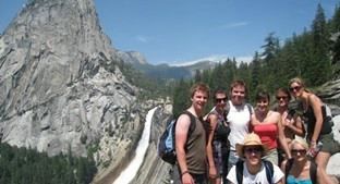 up at the magnificent Giant Sequoias in Yosemite