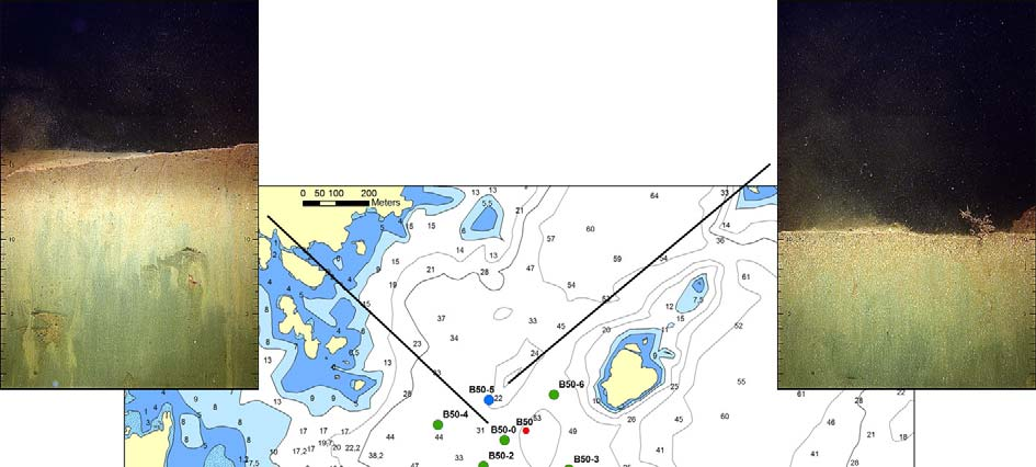 Kystovervåkingsprogrammet 2 Bløtbunnssamfunn Figur 7.