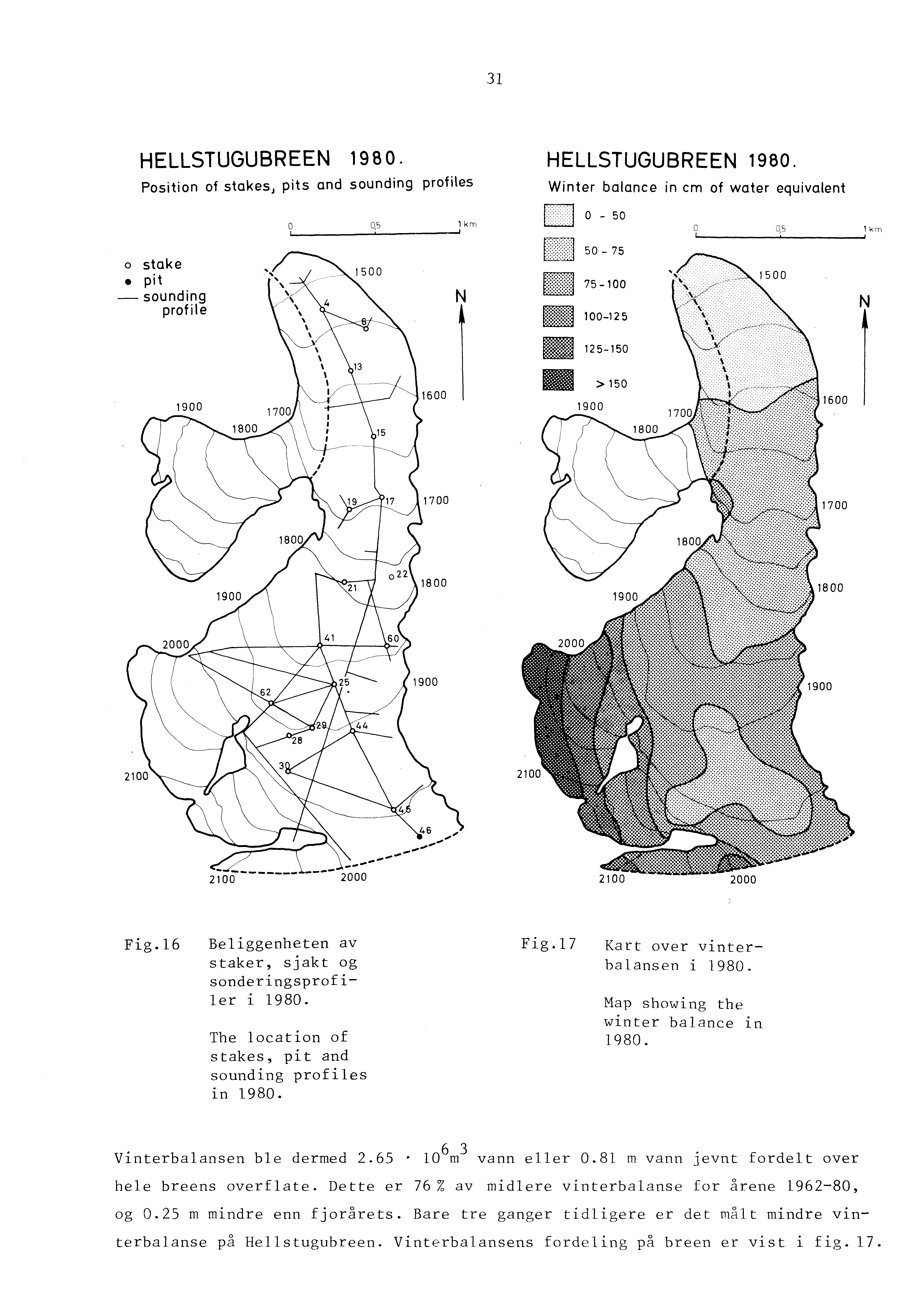 31 HELLSTUGUBREEN 1980. Position of stakes, pits and sounding profiles o stake pit -- sounding profile 0,5 1 km ~------~----~' N HELLSTUGUBREEN 1980.