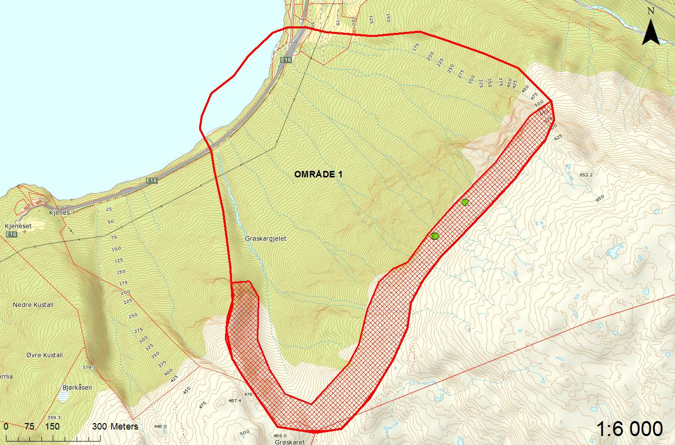 Figur 4.2 Skravert område markerer potensielt løsneområde for område 1. Grønne punkt markerer løsneområdet for glideskredene i mai.