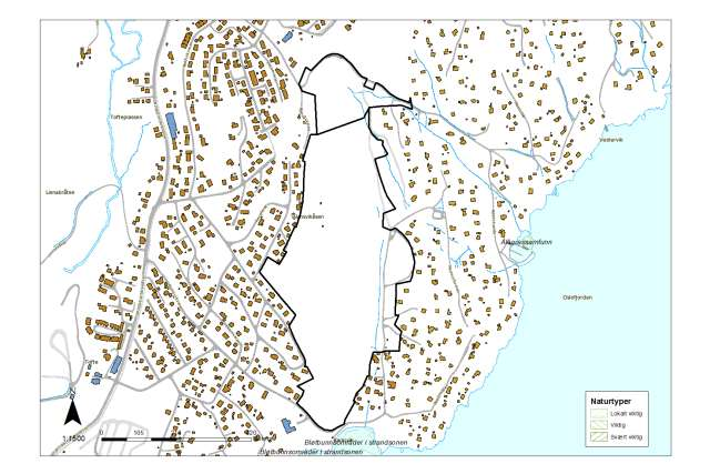 3.4 Miljøtema: Naturmangfold og biologisk mangfold Beskrivelse: Det er registrert lokalt viktige bløtbunnsområder i strandsonen sør