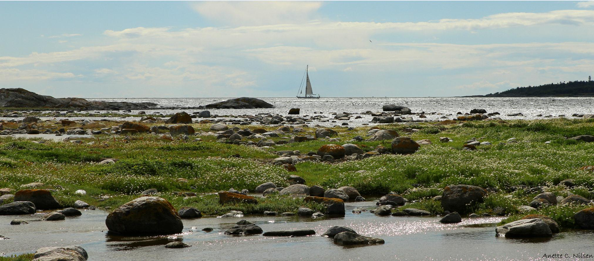 Jomfruland nasjonalpark Sist endret: 05.06.2014 Basisdokument til verneforslag, forvaltningsplan 2016-2020 med mer 1. Forord 2. Sammendrag 3. Innledning 4. Naturmangfoldloven 5. Verneprosessen 6.