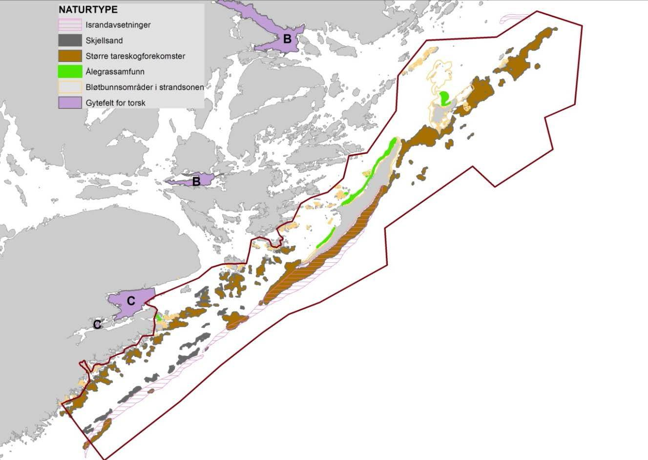 Viktige marine naturtyper i utredningsområdet (NIVA) Oversikt over naturtyper i sjø i nasjonalparkområdet med antall, areal og verdi (fra NIVA 2014) Naturtype Nasjonal verdi Regional verdi Lokal