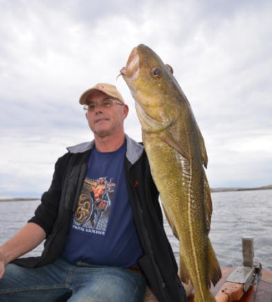 gytefelt for kysttorsk i Stølefjorden, mellom Skåtøy og Berøy og i indre del av Fossingfjorden, noe som synes å stemme bra med dette mønsteret.