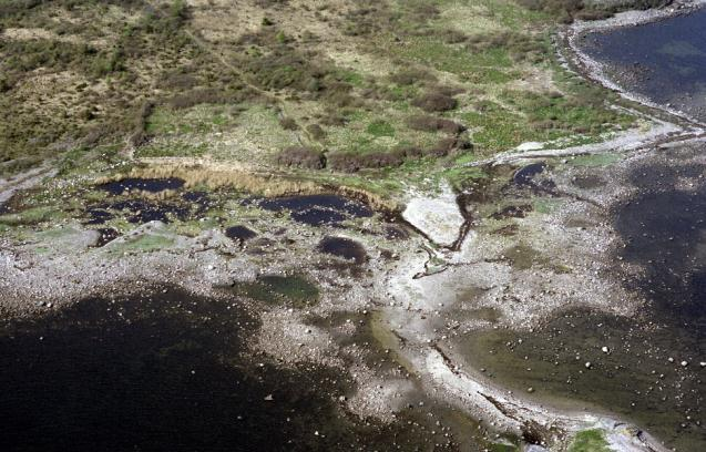 Foto: Statens Kartverk Sørstrand på Stråholmen. Foto: Mapaid AS Andre marine arter som sel og sjøfugl er omtalt i egne kapitler (7.1.4 og 7.1.5).