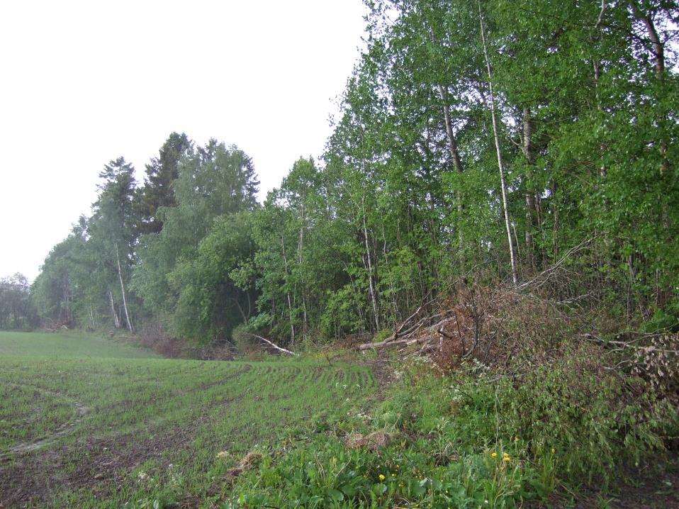 Kan jeg bruke krattknuser eller lignende for å rydde kantsoner langs