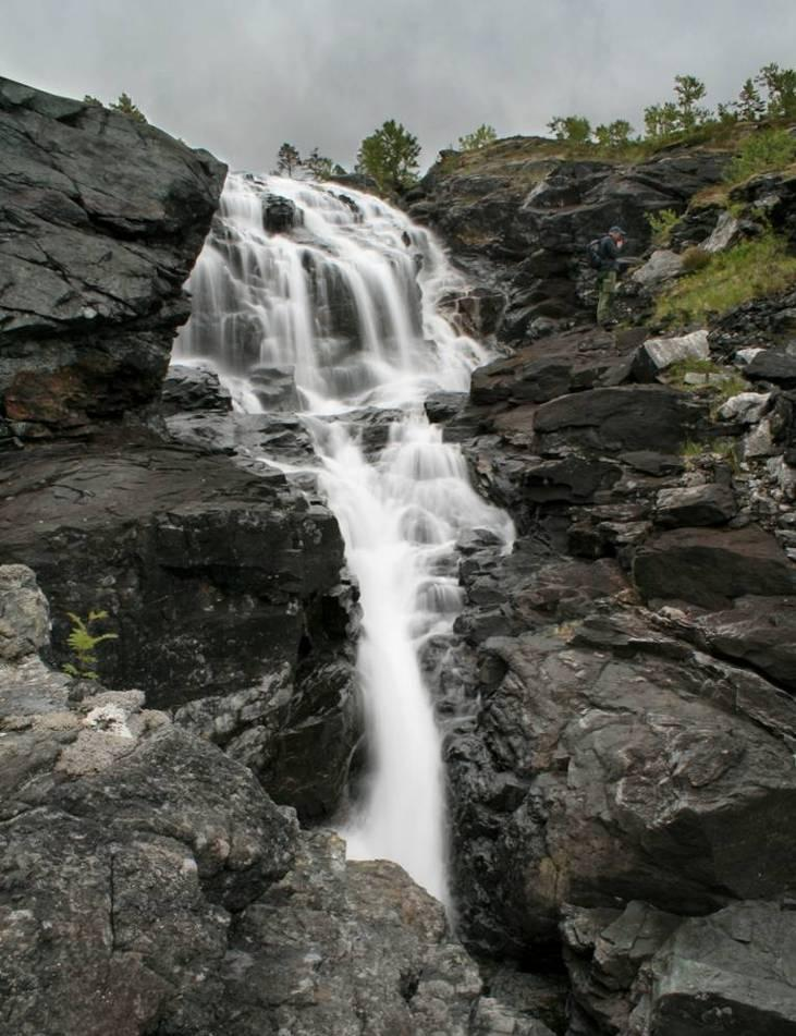 FOSSEBERG OG FOSSE-ENG NATURTYPER I NORGE (NIN) Naturtyper i Norge (NiN) er et beskrivelsessystem for naturtyper som tar utgangspunkt i økologiske variabler og beskriver naturen fra livsmedier til