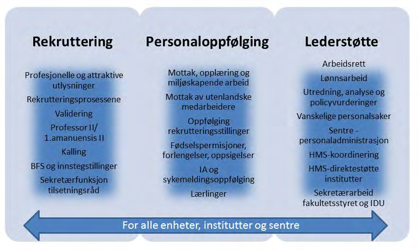 Personalleder vil sammen med enheten ha ansvar for og mulighet til å utvikle/endre intern organisering slik den finner det hensiktsmessig.