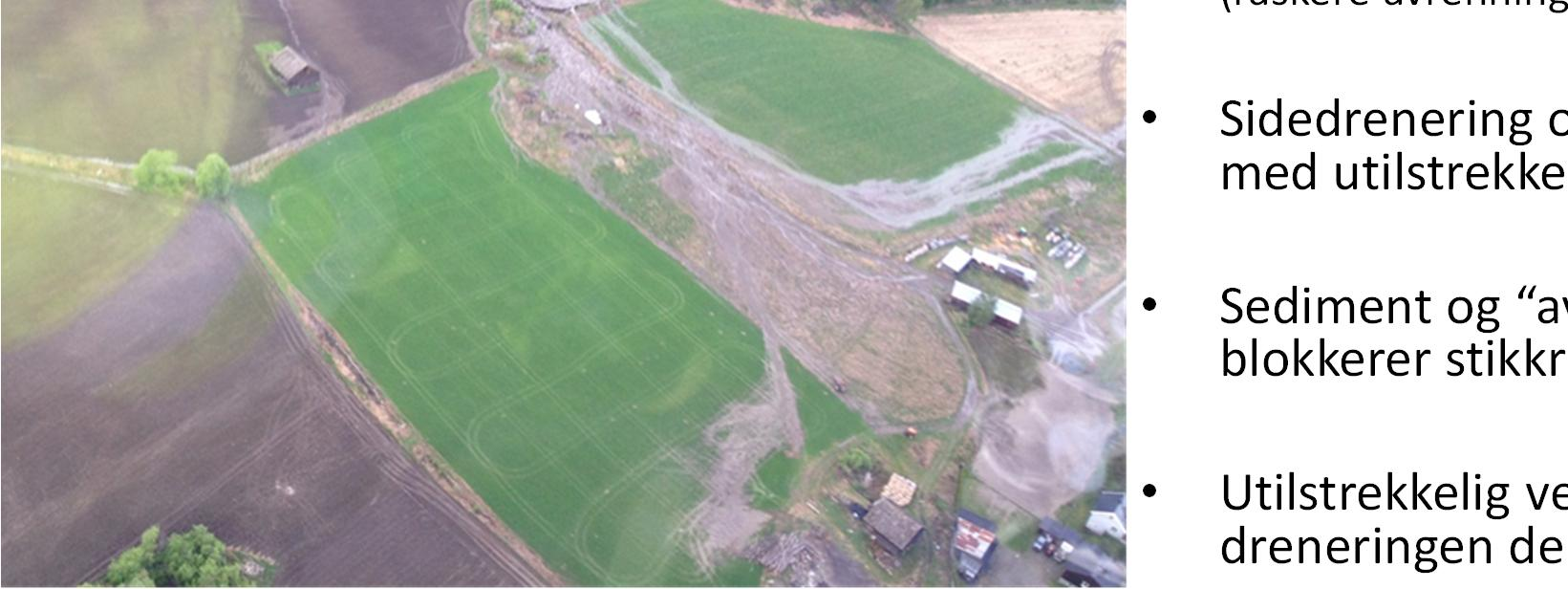 skogsdrift, jordbruk og bebyggelse/urbanisering (raskere avrenning og større flomtopp) Sidedrenering