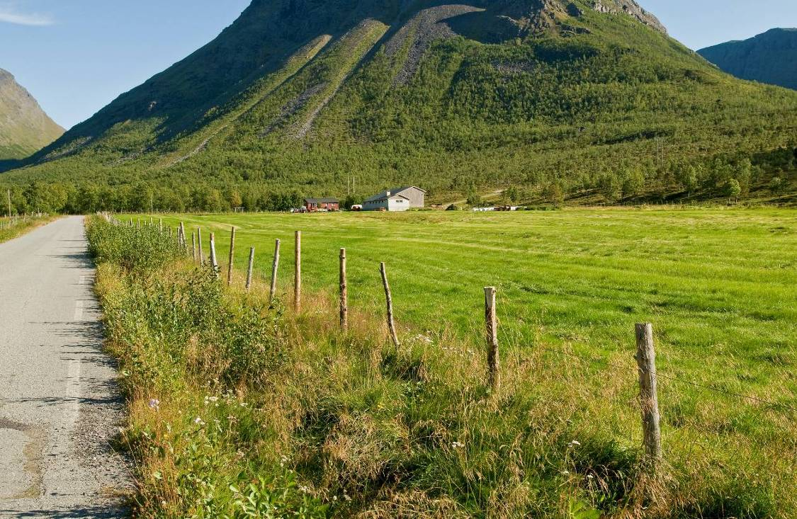 420 kv Balsfjord - Hammerfest Figur 39: Innerst i Kitdalen ved Søreng, der dalen