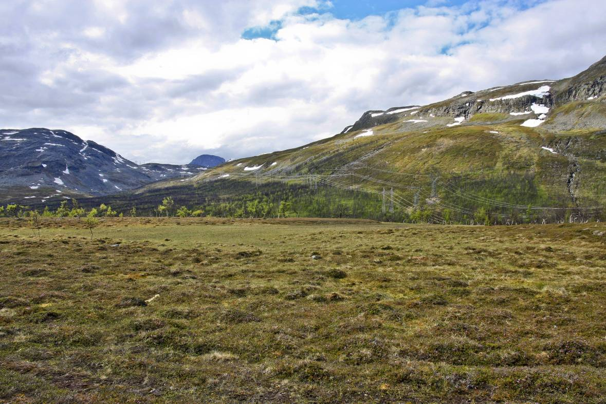 420 kv Balsfjord - Hammerfest til en eventuell ny 420 kv-ledning, men det er nok en viss fare for at disse høyere mastene i større omfang vil rage opp over tresjiktet.