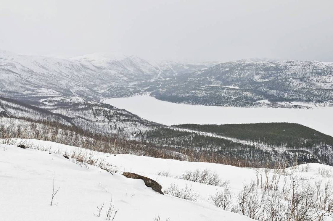 420 kv Balsfjord Hammerfest Figur 54: Kvænangsbotn. Ryddegaten på strekningen mellom Naviteidet og Kvænangsbotn fremstår som et tydelig bånd i landskapet.