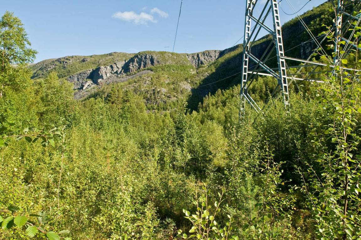 420 kv Balsfjord Hammerfest Figur 59: Doareshaugen. Her er aktuell tomt for koblingsstasjon i Reisadalen. Foto: Einar Berg 6.