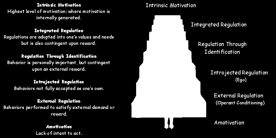 Fremme mulighet for å gjenta intervensjonen ( replicability) 2. Fasilitere god implementering 3.