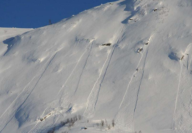 Løssnøskred Løsner ofte i heng > 45 grader Som regel mindre skred,