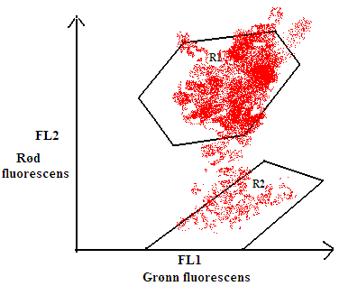 Figur 8: FL1-FL2 plot, der FL1 er langs x-aksen og FL2 er langs y-aksen. Begge aksene har logaritmisk skala. FL1 og FL2 er to kanaler i flowcytometeret som måler fluorescens med ulike bølgelengder.
