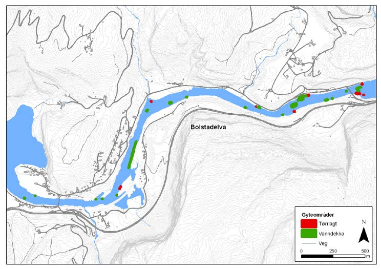 11 m 2 av egnet gyteområde på tørt land (røde arealer) mens 9 m 2 var vanndekt (grønne arealer) på utløpet av Evangervannet.