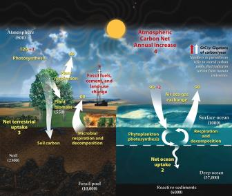 Jordens atmosfære 78.1 % nitrogen (N 2 ): 28.0134 amu 20.9 % oksygen (O 2 ): 31.9988 amu 0.9 % argon (Ar): 39.948 amu 0.1 % karbondioksid (CO 2 ): 44.0095 amu https://www.youtube.com/watch?