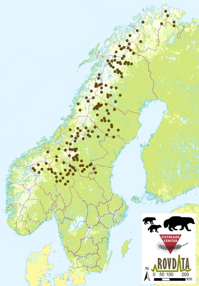 Sekretariatet konstaterer at antall ynglinger vinter 2015 lå over bestandsmålet.