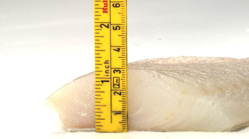 Fresh sustainable cod from Norwegian aquaculture A unique product in its own right Characterised by firmer texture and bite thanks to a 5 6% higher protein