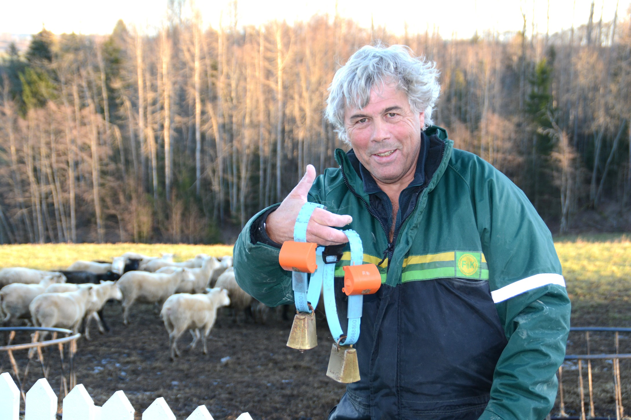 Elektronisk sporing av sauer i Akershus 2016 12 Første sesong med radiobjeller Neste år ønsker jeg flere sendere Lars Brustad er godt fornøyd etter sin aller første sesong med radiobjeller.