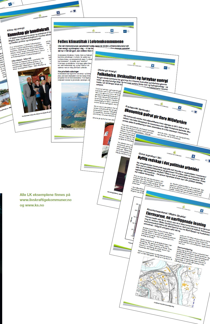 Eksempler på aktiviteter og resultater: Mediaklipp Inspirasjonshefter Faktaark (2007)