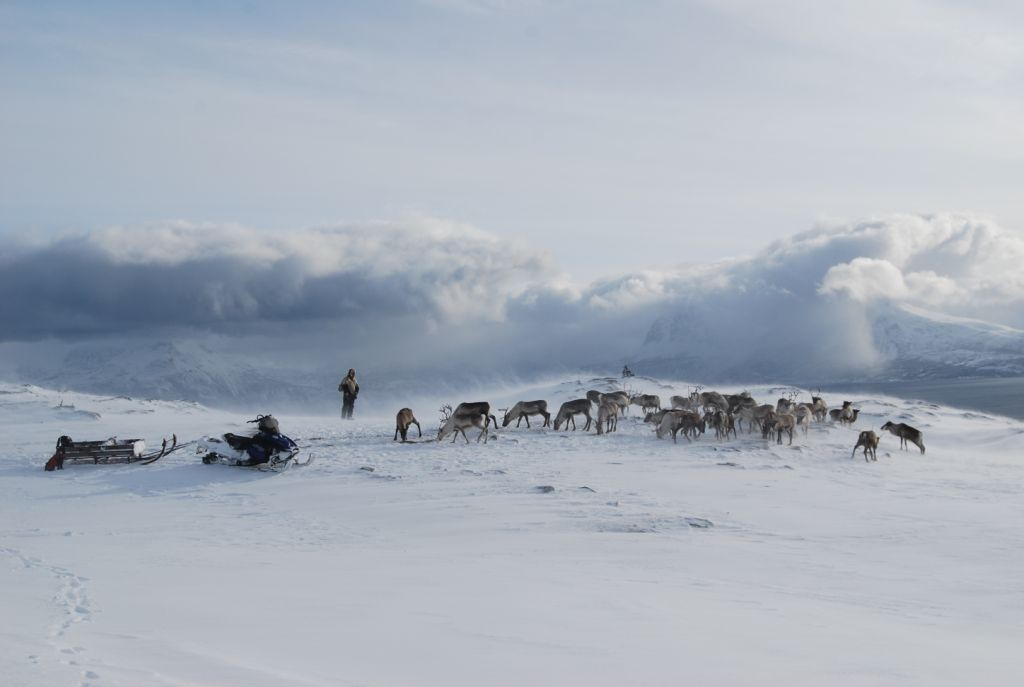 Arealplanlegging i Midt-Troms: Hevet plankompetanse,