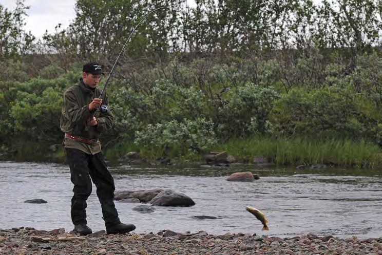 med kommunale landbruksmyndigheter om forvaltningen av landbruksarealer på FeFo-grunn. Derimot er småog storviltjakt, lisensjakt, fiske, skog og vedhogst og eiendom hovedansvarsområdene til FeFo.