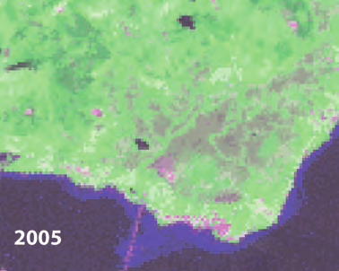 Våren og sommeren 2007 ble det gjennomført feltarbeid i Vesterålen som viste at en del av jordbruksarealene i de sentrale områdene av Sortland og Hadsel, som var ute av drift i 2005, var tatt i bruk