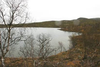 Nedre Bejavatn (Vuolit Bieddjajavri) Nedre Bejavatn (N69º54 46,0 ; Ø25º06 40,2 ) i Porsangmoen/Halkavarre SØF ligger 164 m over havet ca. 8,5 km øst for Porsangermoen. Vannene har et areal på ca.